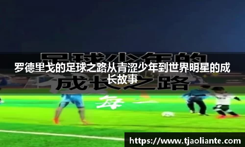 九游体育官网
